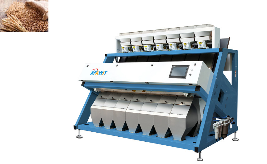 High Frequency Injector Wheat Color Sorting Machine 448 Channels